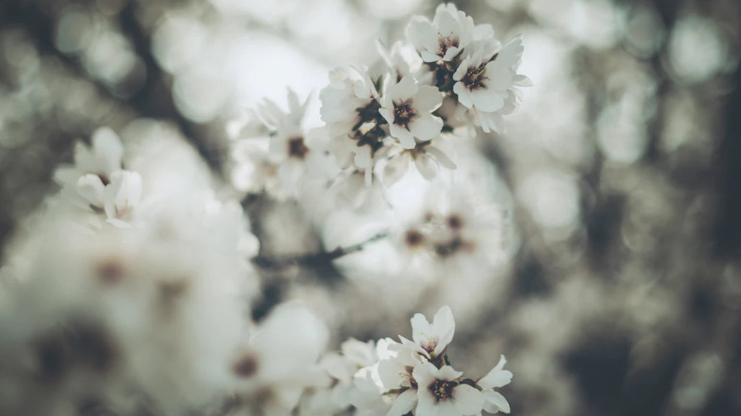 Naturels vs Synthétiques Le Duel des Tissus