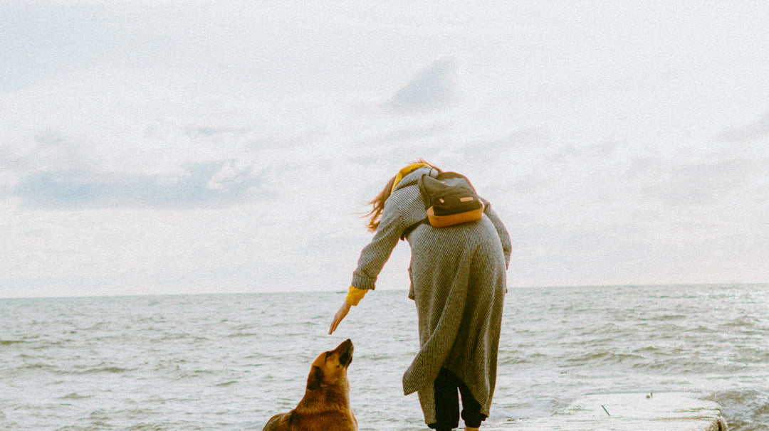 L'histoire des grandes maisons de couture et leur impact