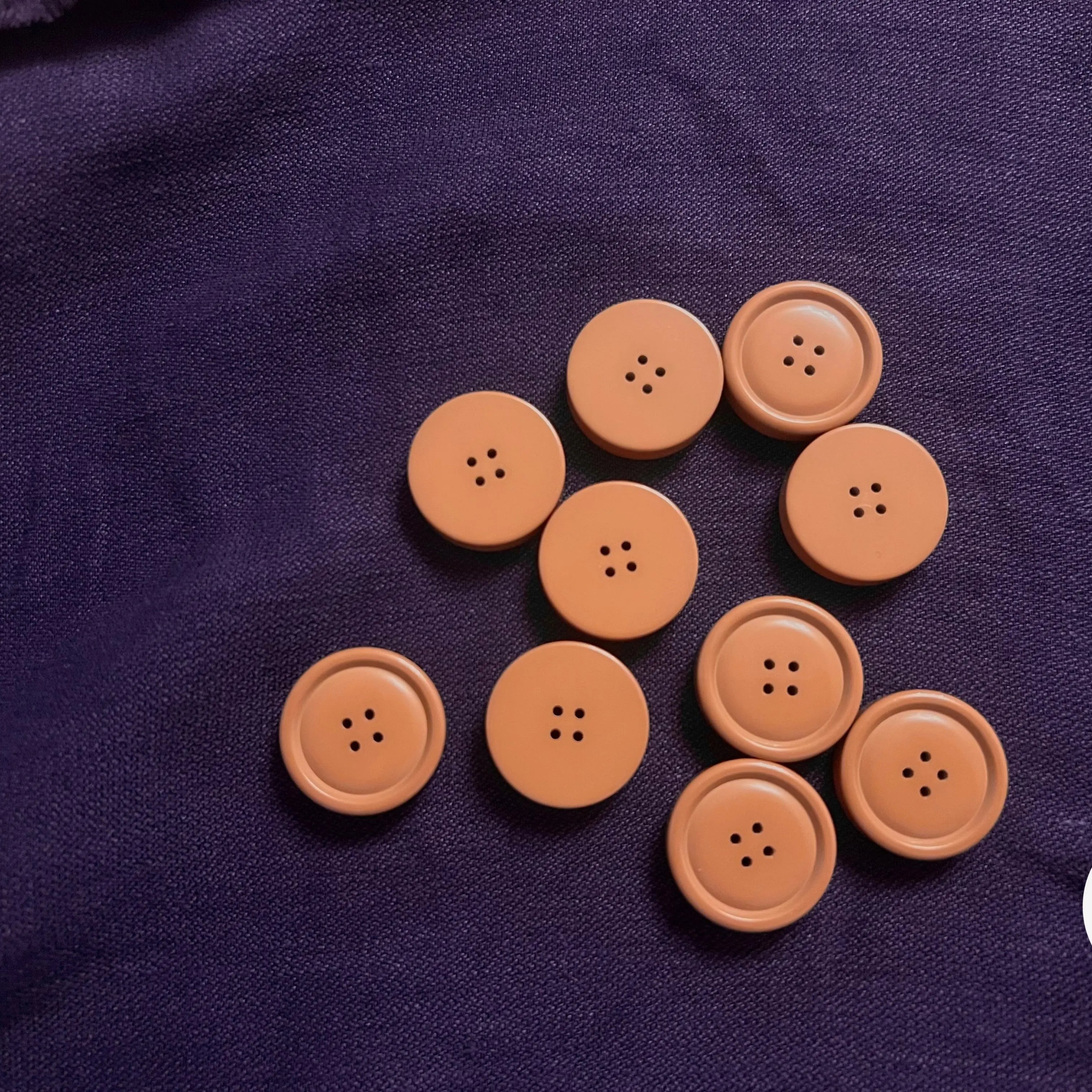 BOUTON CAMEL 25MM DIAMÈTRE - LOT DE 5 - My Little Coupon