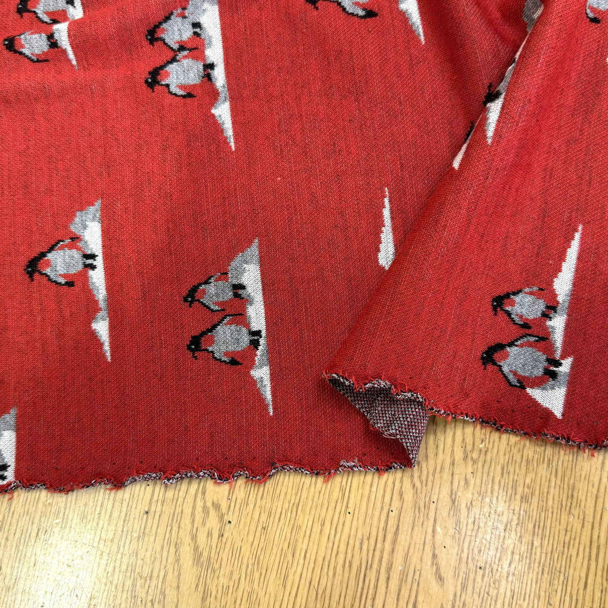 (CHUTE) MAILLE JACQUARD ESPRIT MILANO IMPRIMÉ PINGOUINS ROUGE ORANGÉ - My Little Coupon