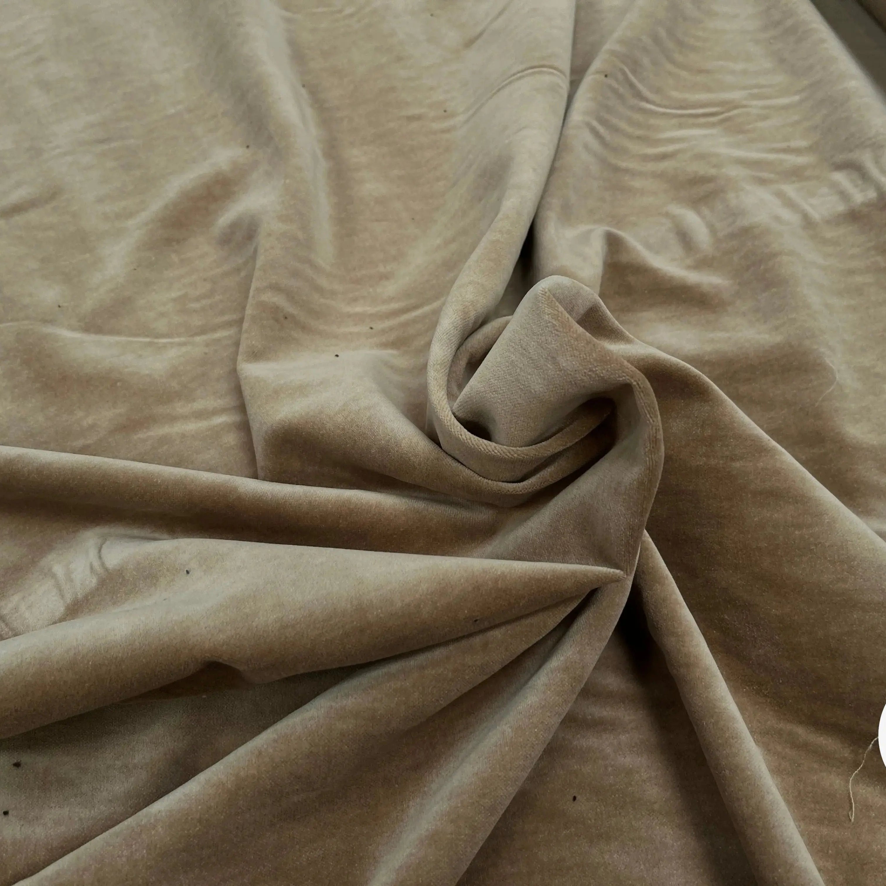 VELOURS LISSE COTON MIEL ITALIEN - My Little Coupon