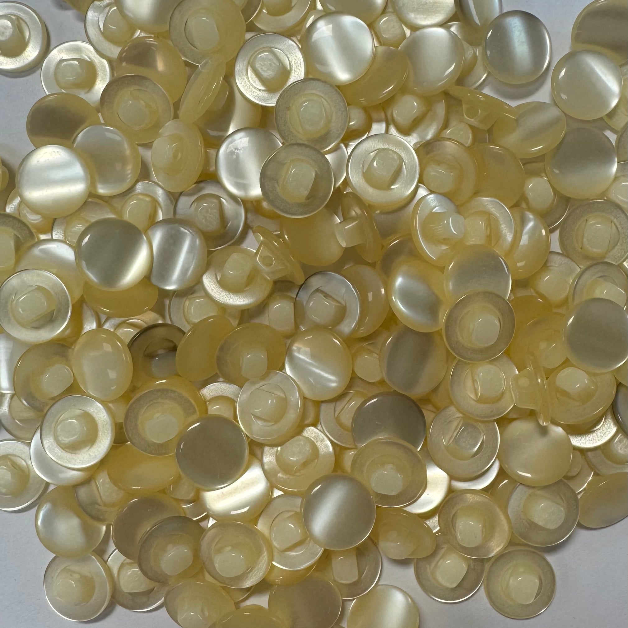 LOT DE 10 BOUTONS A QUEUE BLANC NACRE - My Little Coupon