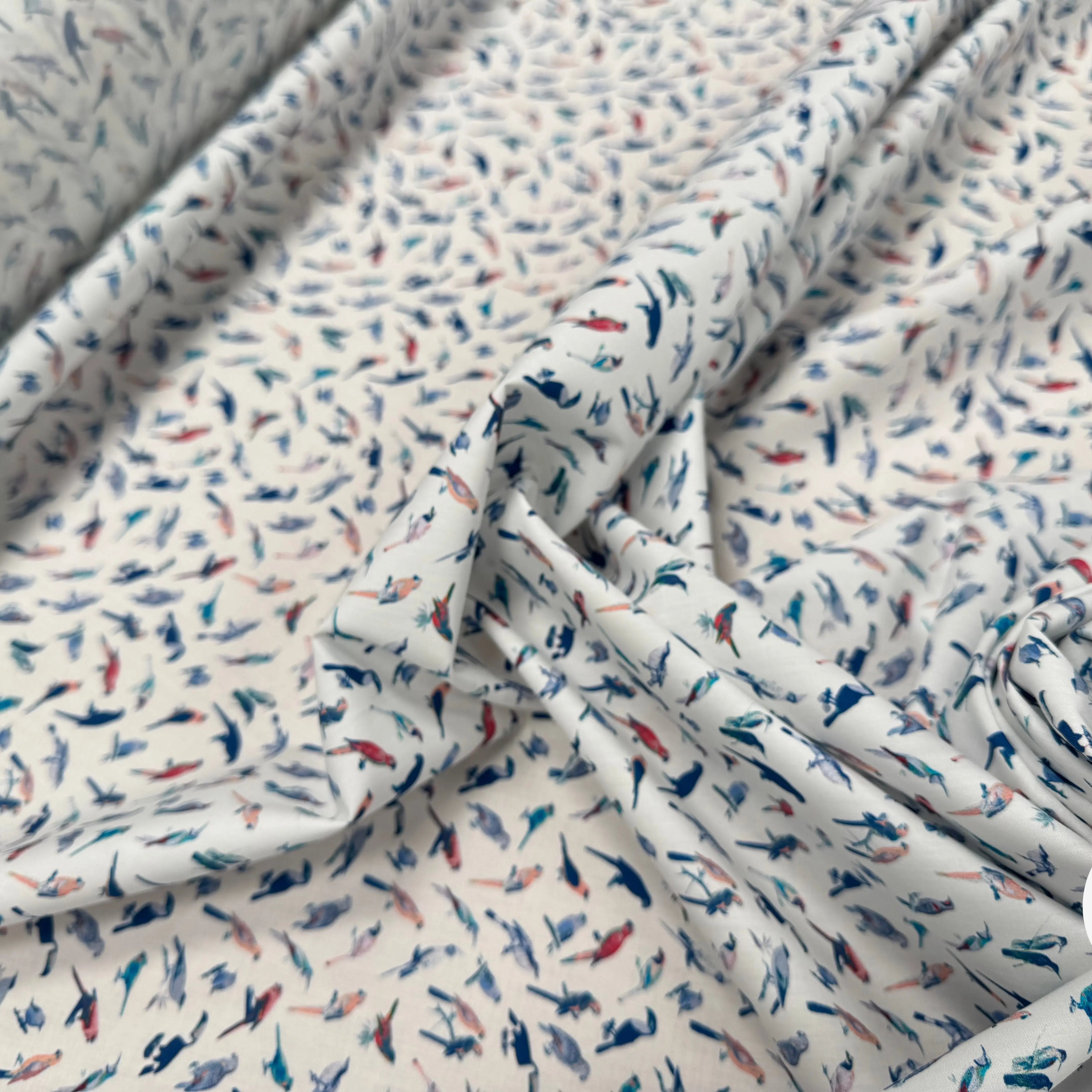 POPELINE DE COTON FOND BLANC MOTIF PERROQUETS - My Little Coupon