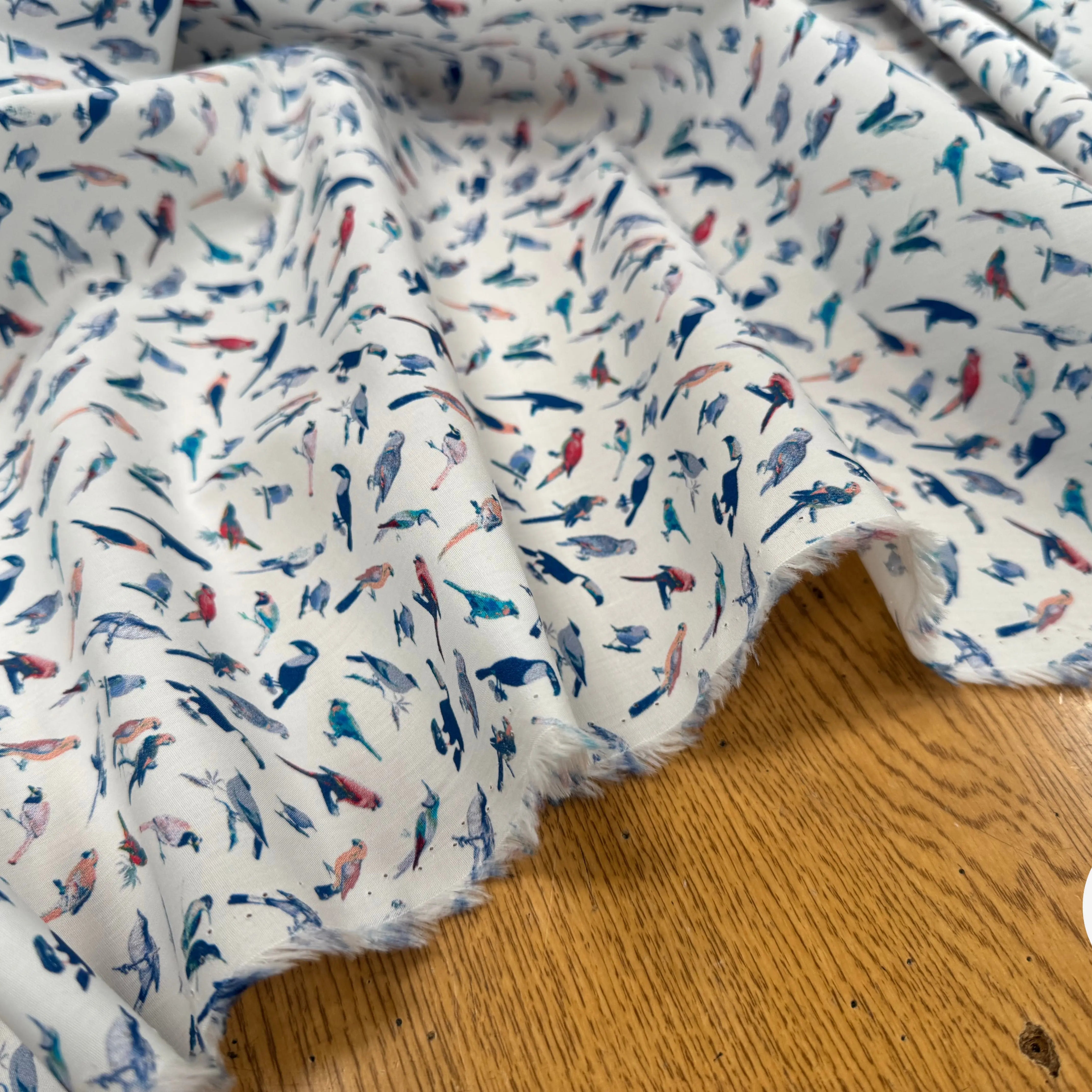 POPELINE DE COTON FOND BLANC MOTIF PERROQUETS - My Little Coupon