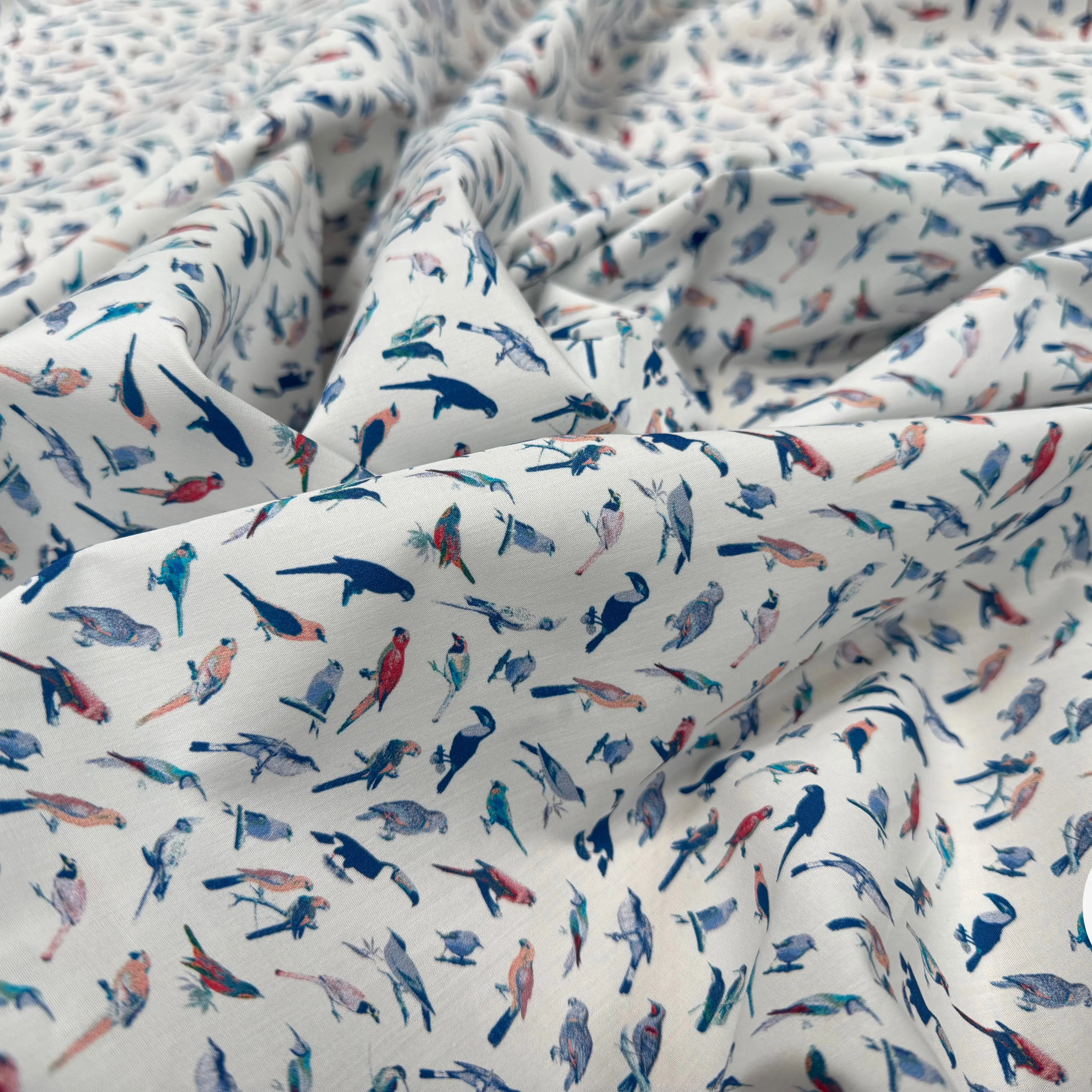 POPELINE DE COTON FOND BLANC MOTIF PERROQUETS - My Little Coupon