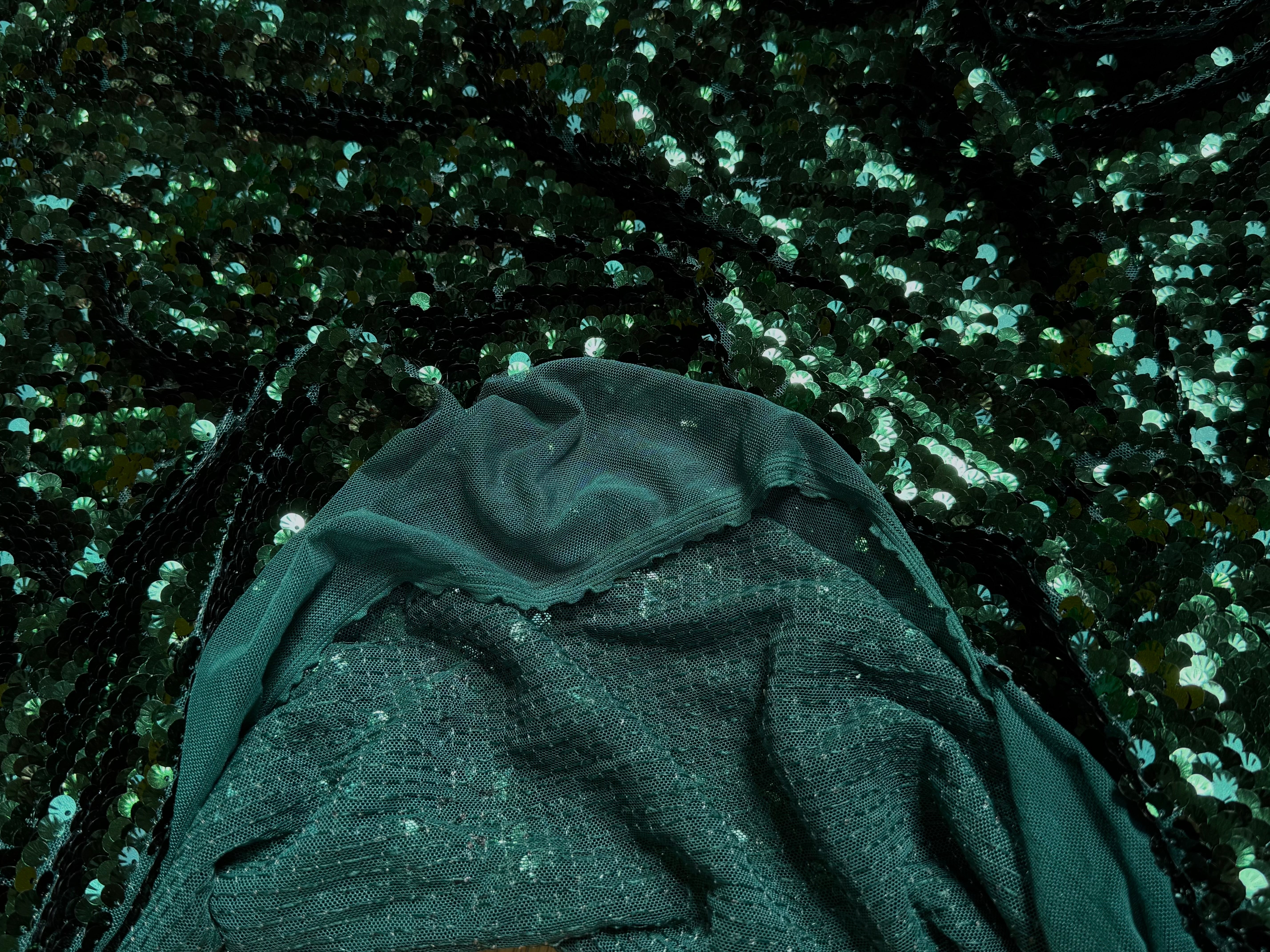 SEQUIN RESILE BRODÉE PAILLETTE VERT FORÊT - My Little Coupon