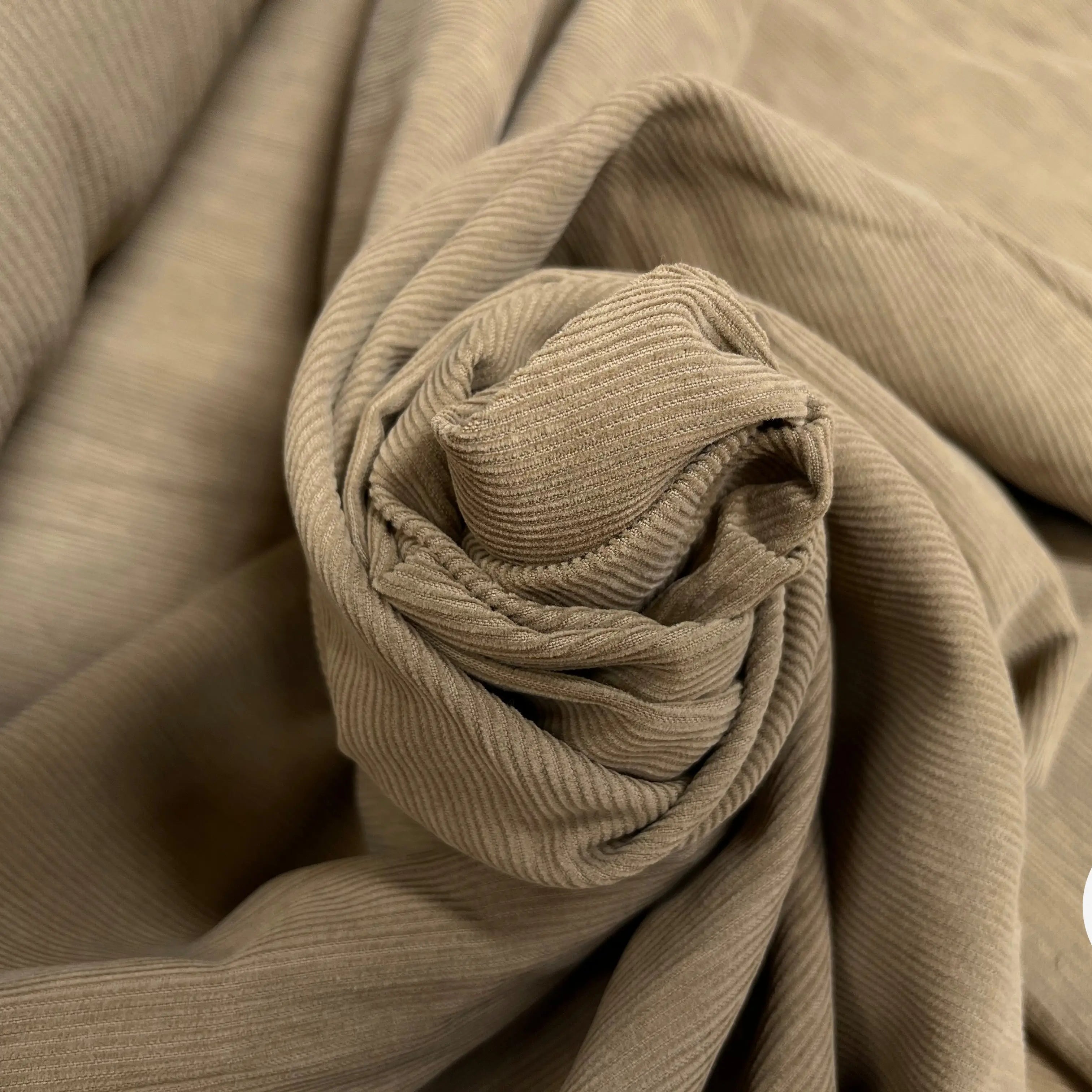 VELOURS 1000 RAIES CHEMISE COTON BEIGE FONCÉ - My Little Coupon