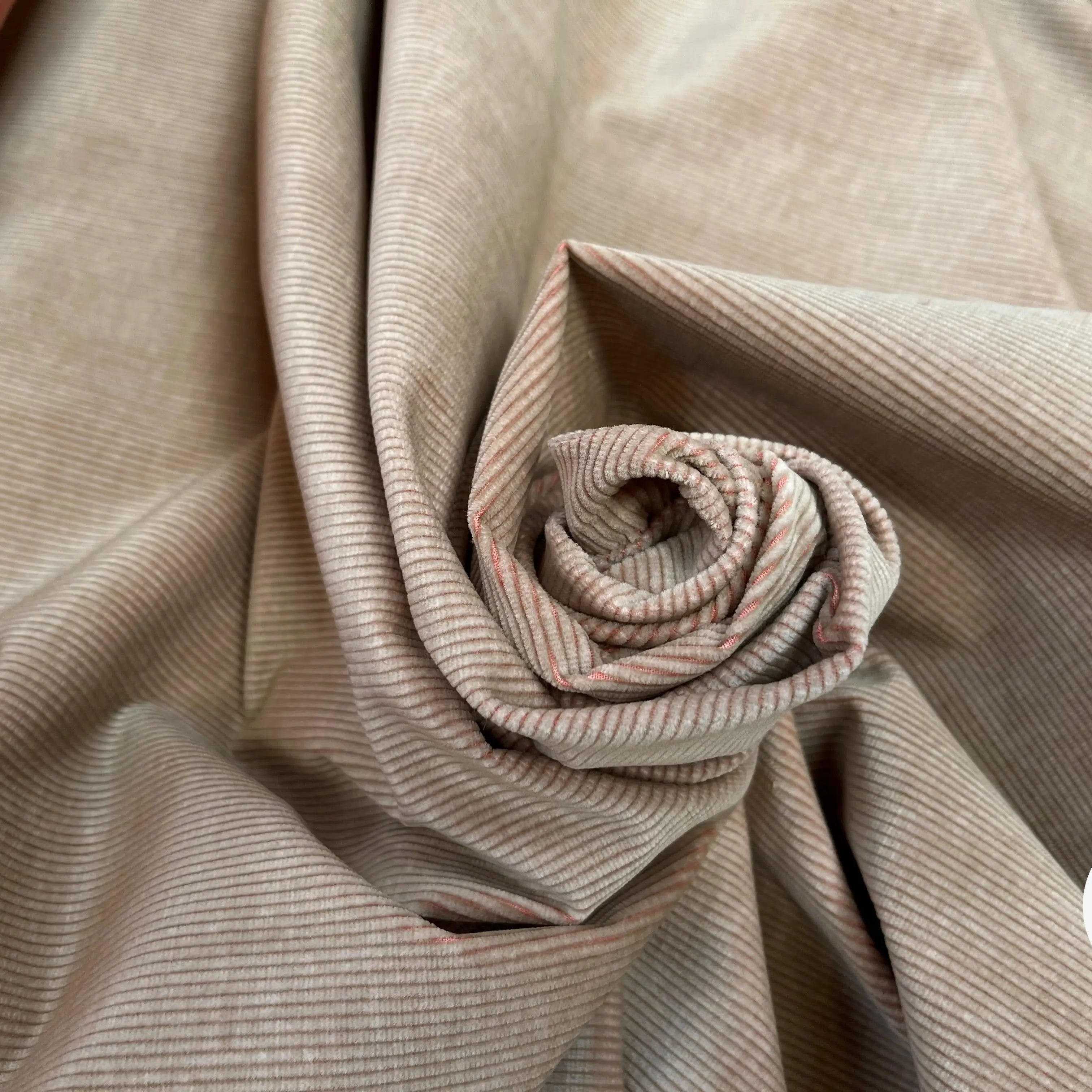 VELOURS 1000 RAIES COTON FINEMENT COTELLÉ BEIGE ENVERS ROSE - My Little Coupon