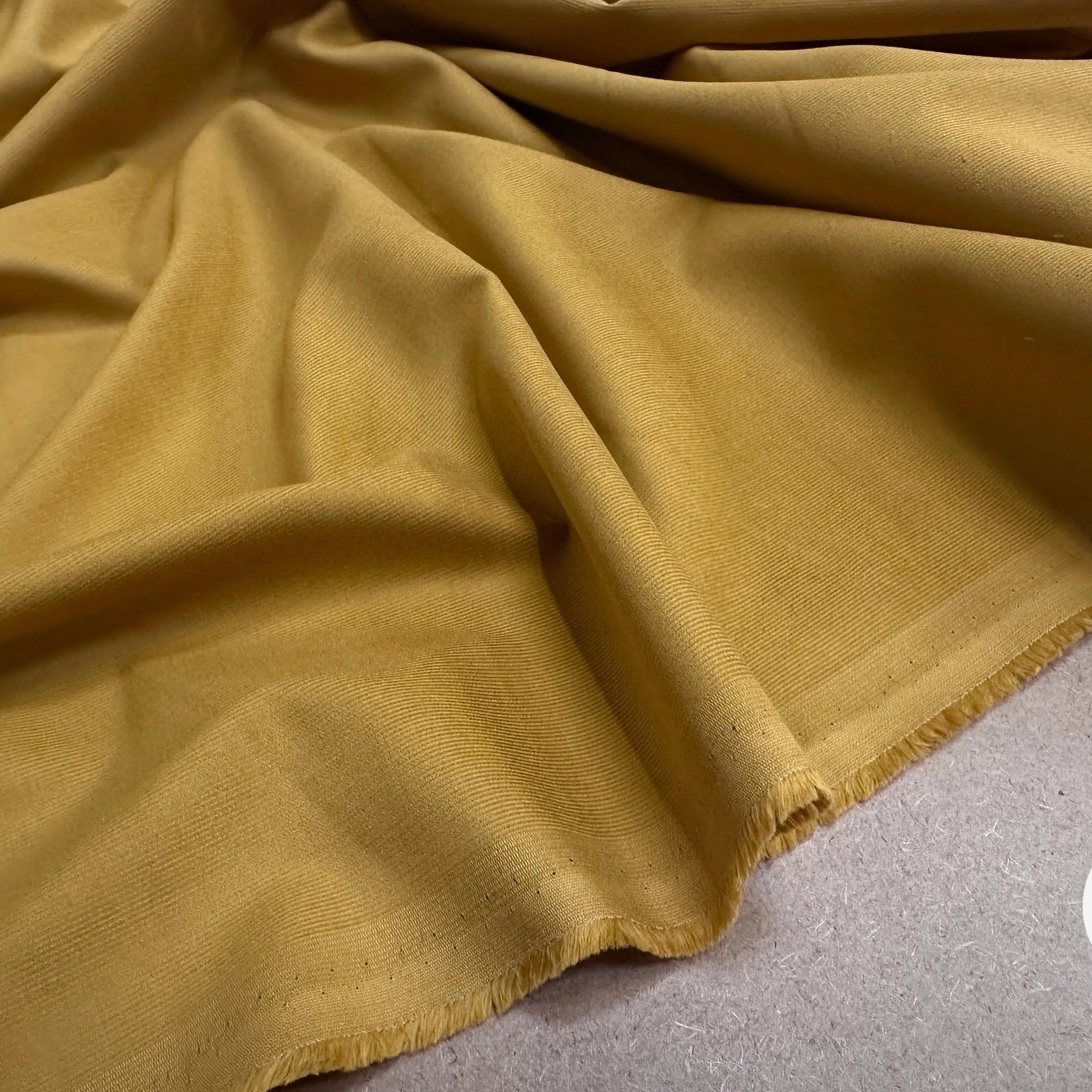 VELOURS CHEMISE 1500 RAIES PURE COTON ALBINI - My Little Coupon