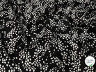 CREPE SATINÉ FOND NOIR POIS BLANC - My Little Coupon
