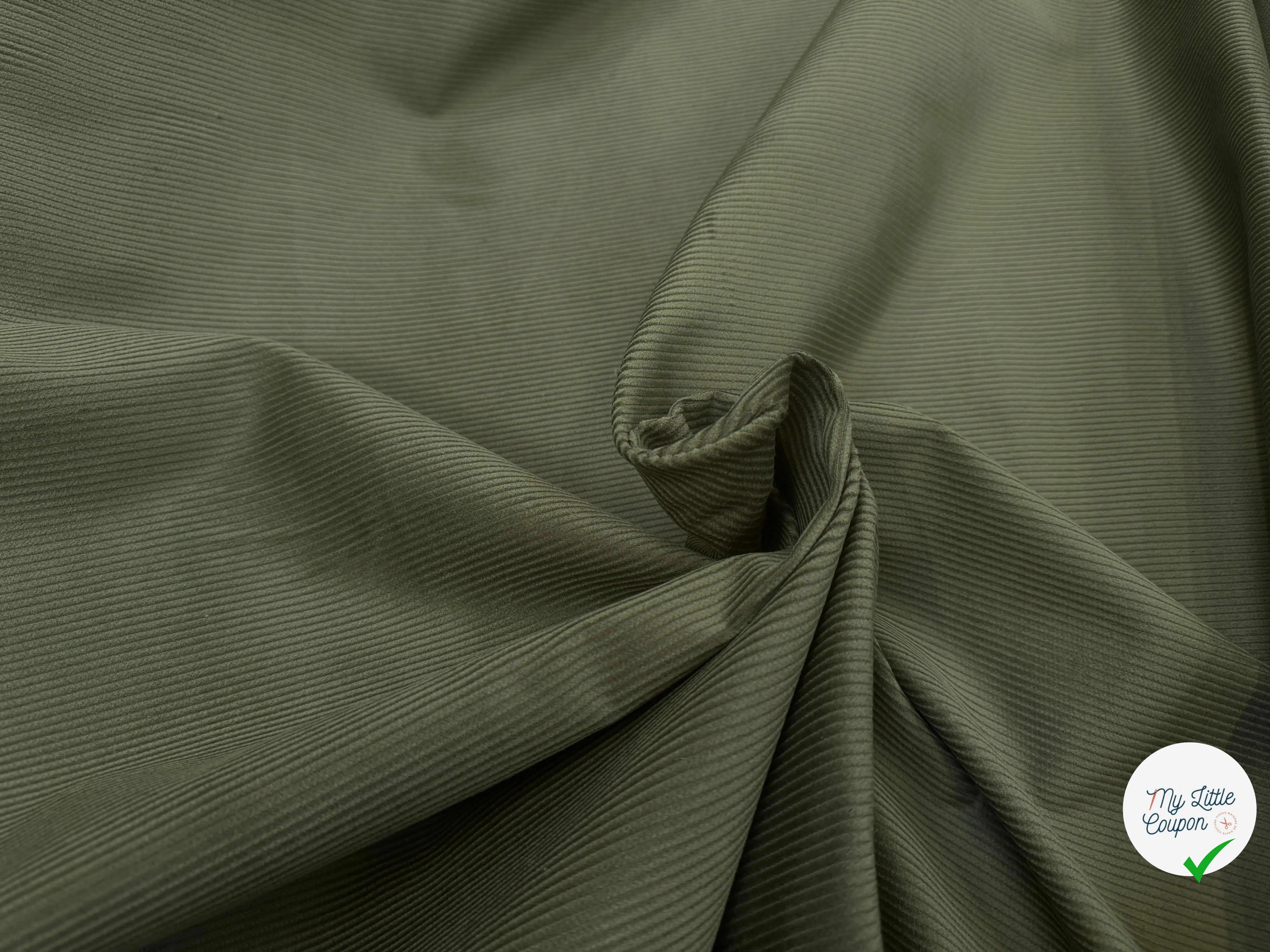 VELOURS 500 RAIES UNI FOUGÈRES 150 - My Little Coupon