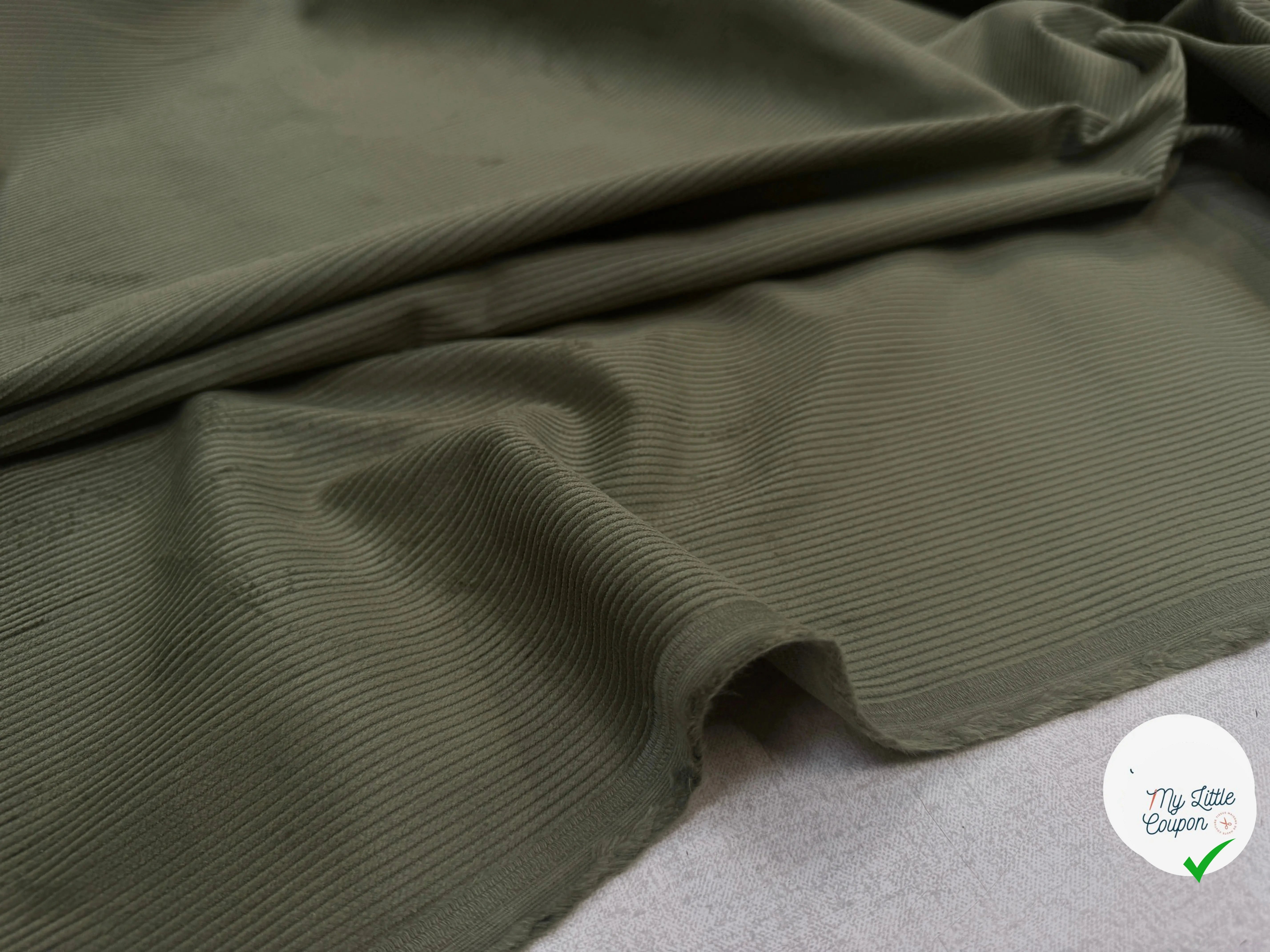 VELOURS 500 RAIES UNI FOUGÈRES 150 - My Little Coupon