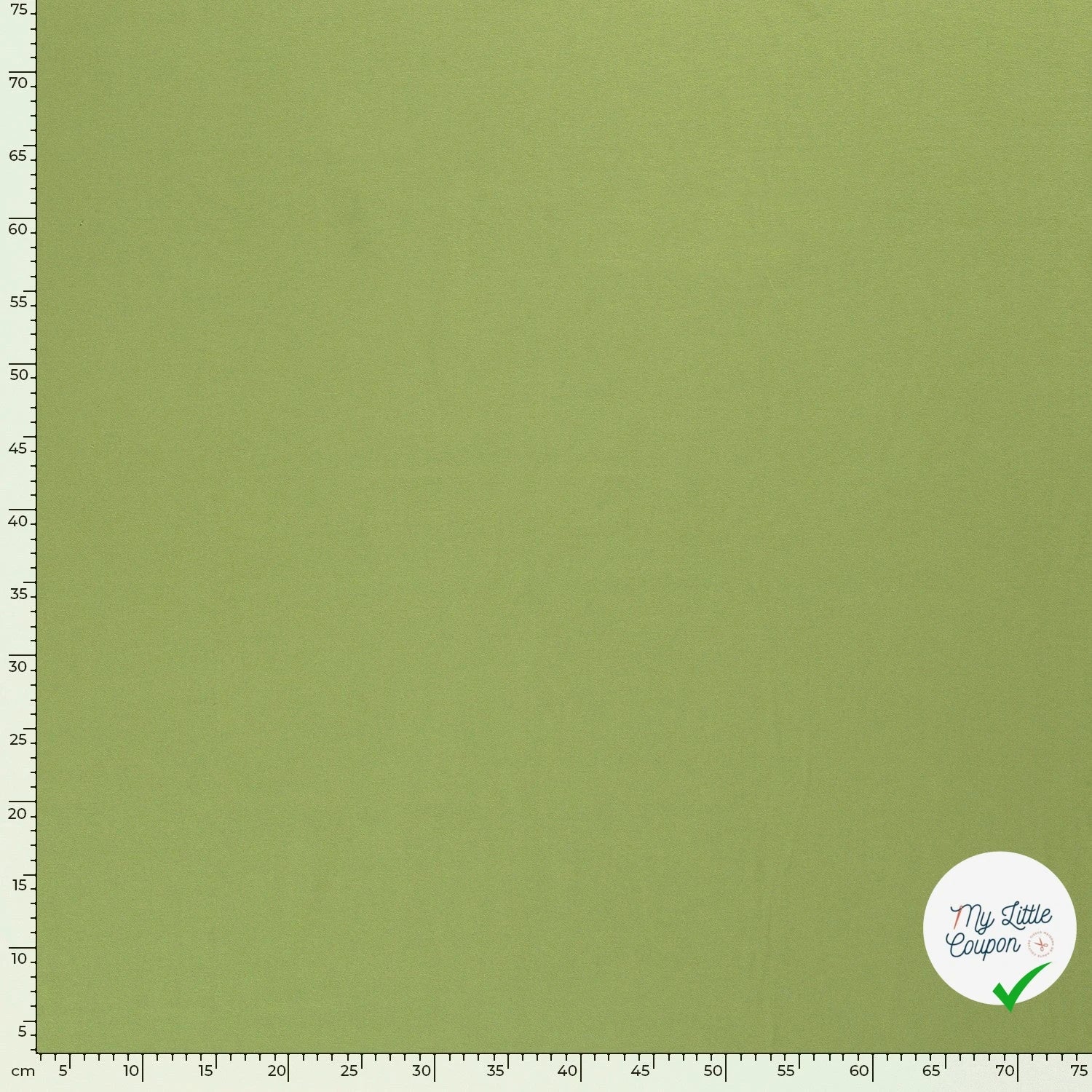 JERSEY DE COTON BELLE TENUE POMME VERTE - My Little Coupon