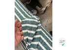 JERSEY DE COTON RAYURES ECRU FOND VERT CHINE MSO