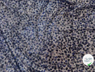 SEQUIN STRETCH TACHES BLEU & VIOLET - My Little Coupon