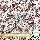 VISCOSE PISTRELLO BLANC CASSE / PRUNE 2B D4X 150 - My Little Coupon