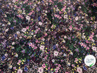 WOOLPEACH MONDE FLEURI ROSE & VIOLET - My Little Coupon